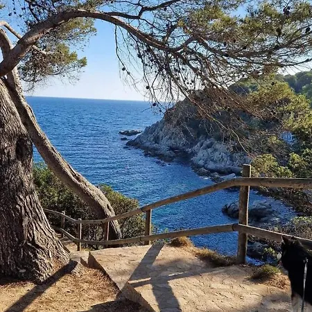 Apartment Apartmentskustenperle Lloret de Mar